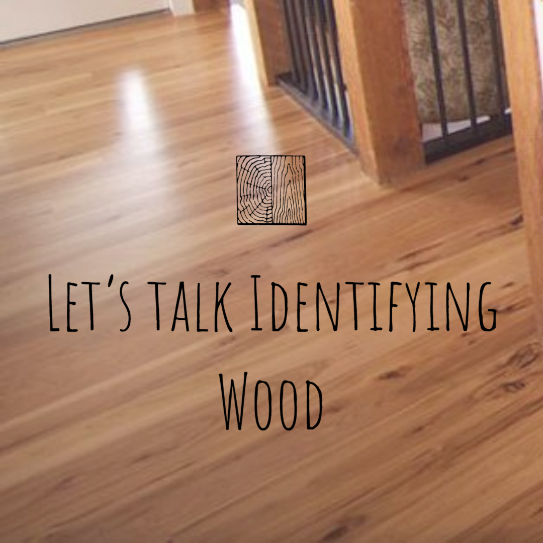 Let’s Talk Identifying Wood