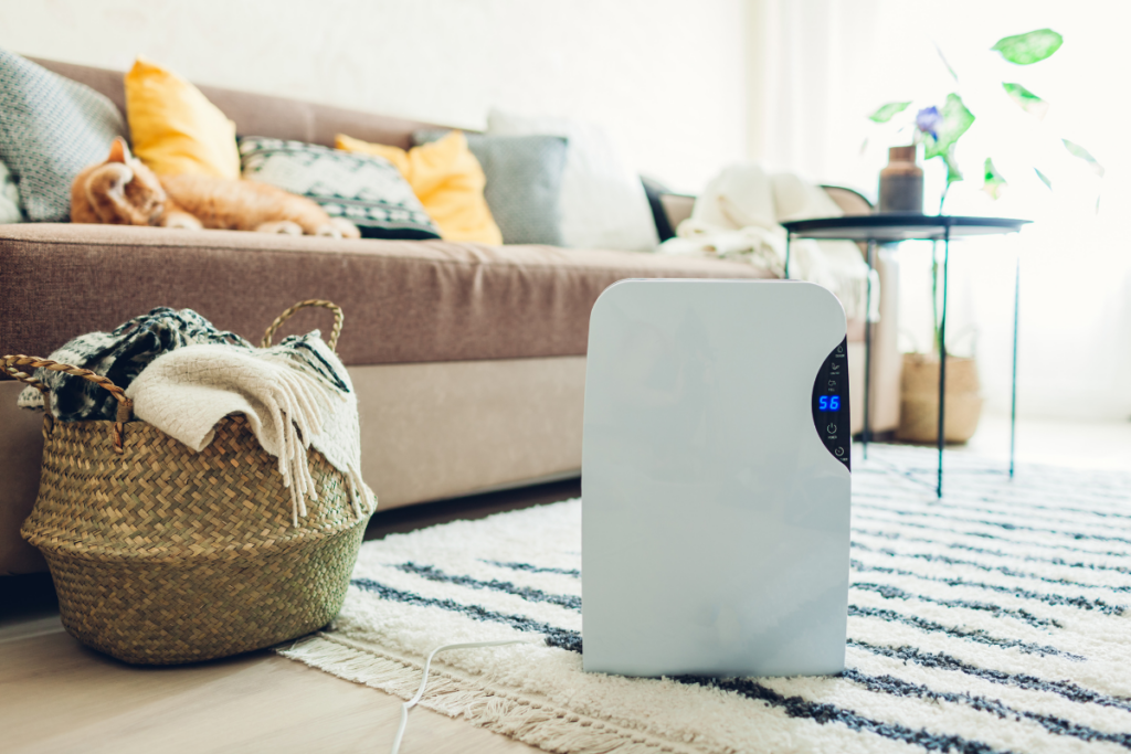 Humidity in a home